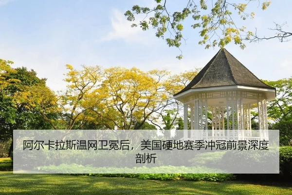 a-er-ka-la-si-wen-wang-wei-mian-hou-mei-guo-ying-di-sai-ji-chong-guan-qian-jing-shen-du-pou-xi-2-605.jpg