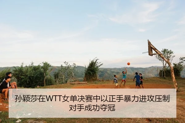 孙颖莎在WTT女单决赛中以正手暴力进攻压制对手成功夺冠